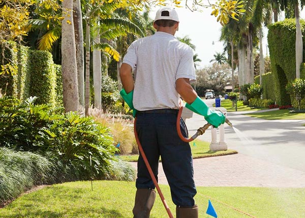 About Pettisville OH Pest Control